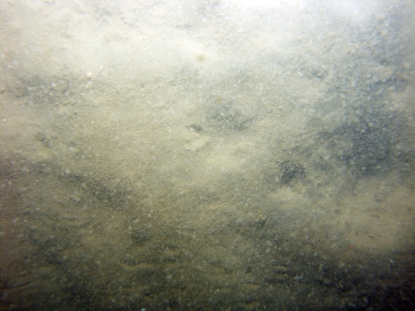 Image of seabed - photo.