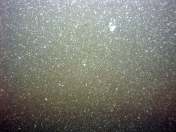 Image of seabed - photo.