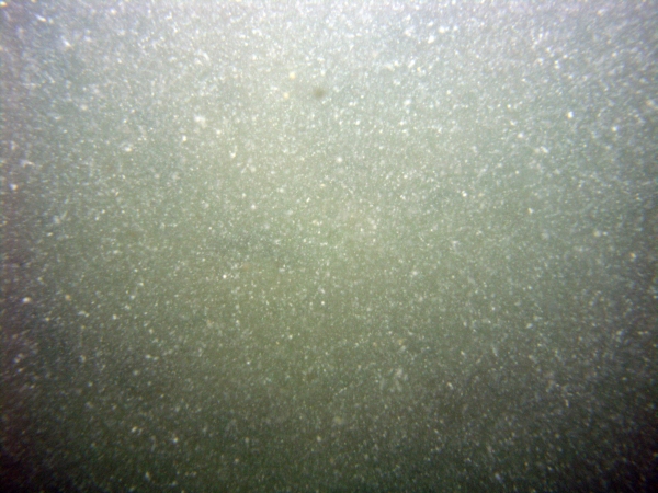 Image of seabed - photo.