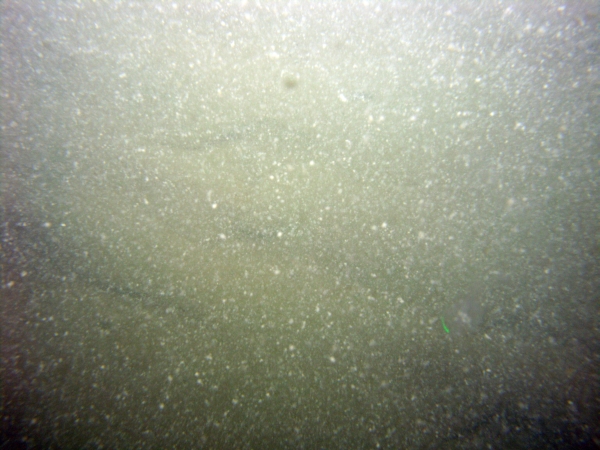 Image of seabed - photo.