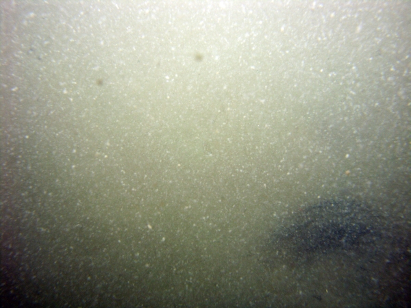 Image of seabed - photo.