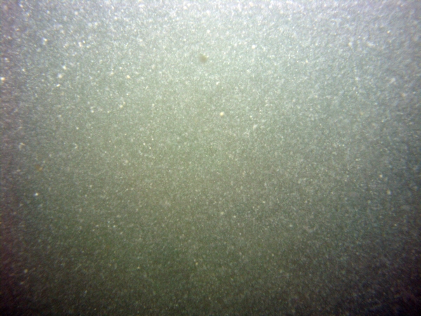 Image of seabed - photo.