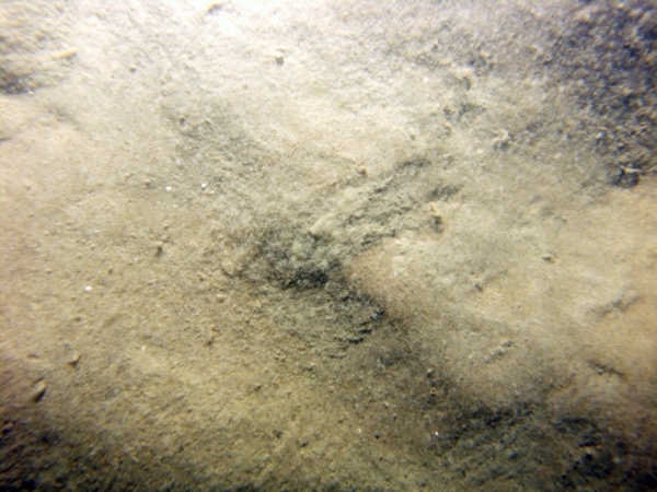 Image of seabed - photo.