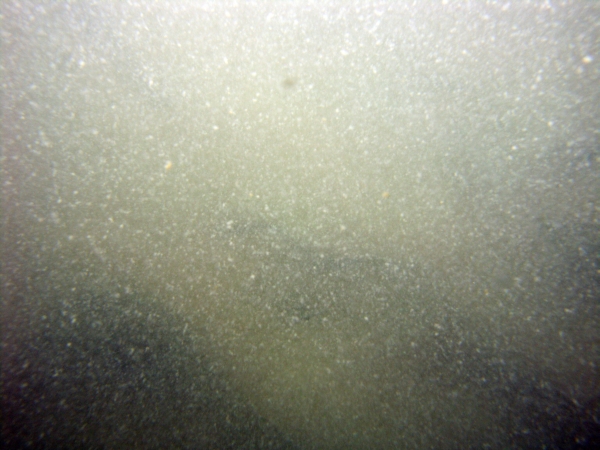 Image of seabed - photo.