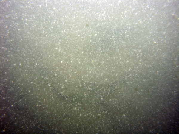 Image of seabed - photo.