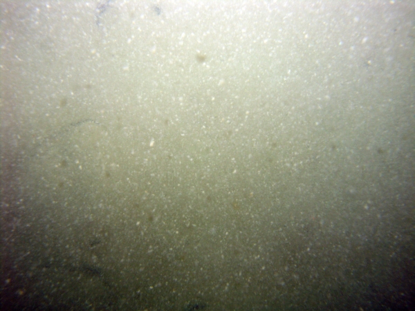 Image of seabed - photo.