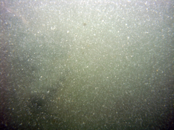 Image of seabed - photo.