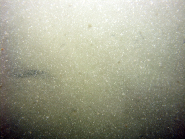 Image of seabed - photo.