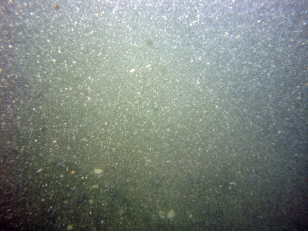 Image of seabed - photo.