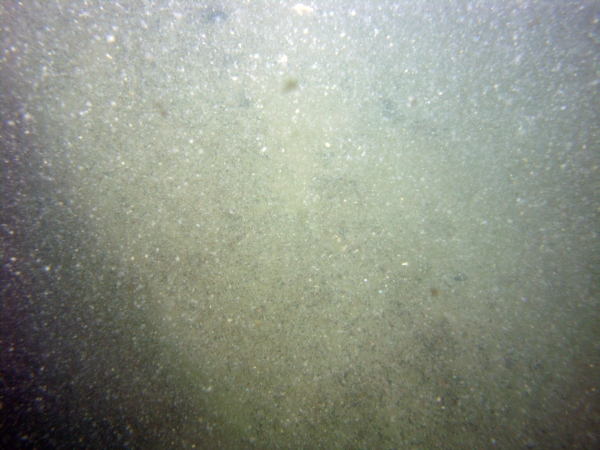 Image of seabed - photo.