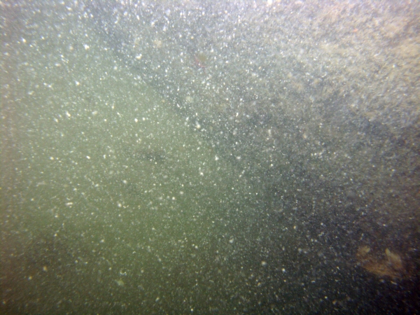 Image of seabed - photo.