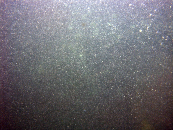 Image of seabed - photo.