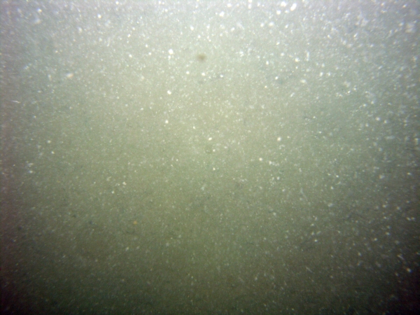 Image of seabed - photo.