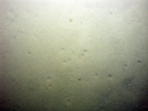 Image of seabed - photo.