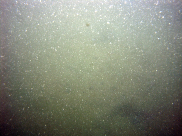 Image of seabed - photo.