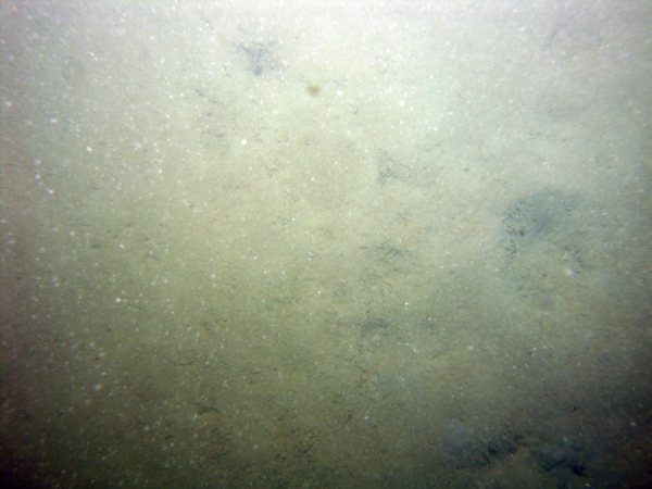 Image of seabed - photo.