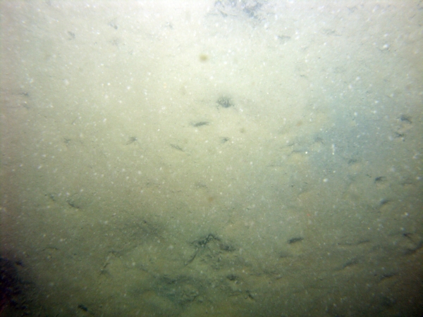 Image of seabed - photo.