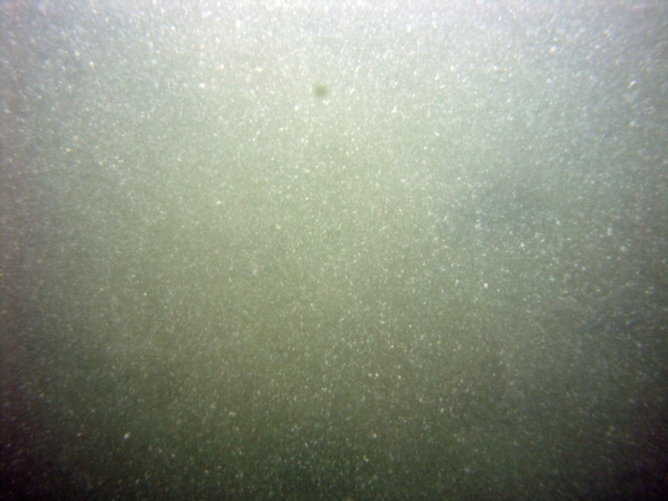 Image of seabed - photo.