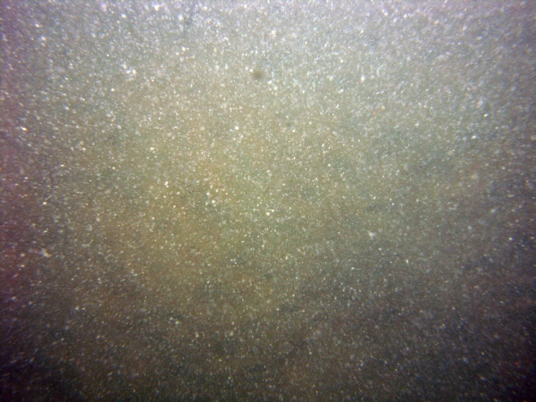 Image of seabed - photo.