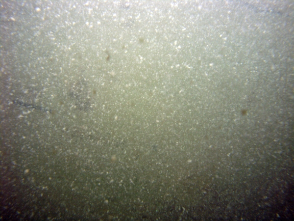 Image of seabed - photo.