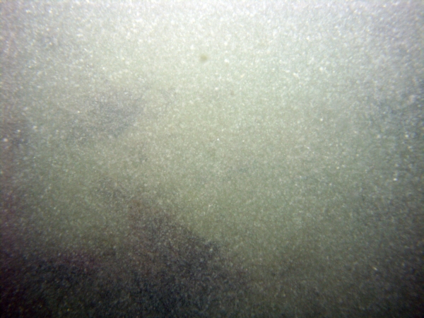 Image of seabed - photo.