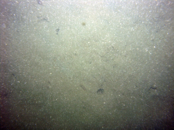 Image of seabed - photo.