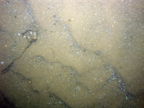 Image of seabed - photo.