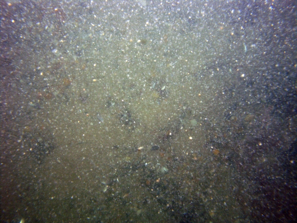 Image of seabed - photo.