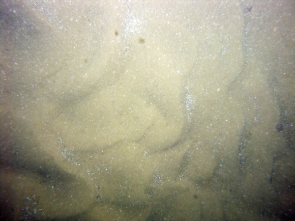 Image of seabed - photo.