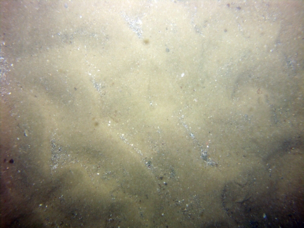 Image of seabed - photo.