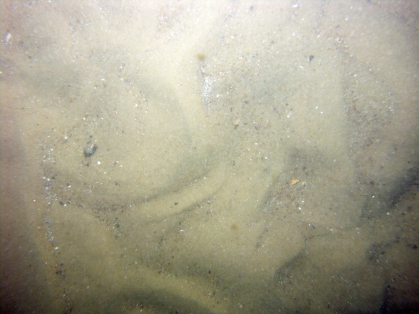 Image of seabed - photo.