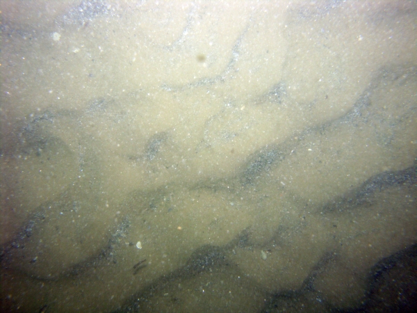 Image of seabed - photo.