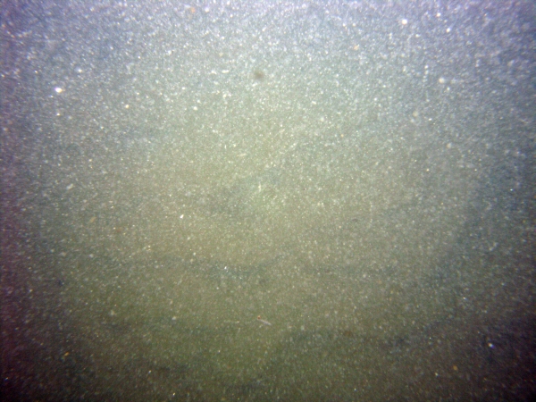 Image of seabed - photo.