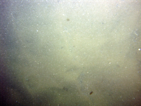 Image of seabed - photo.