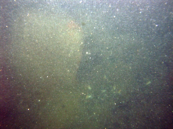 Image of seabed - photo.