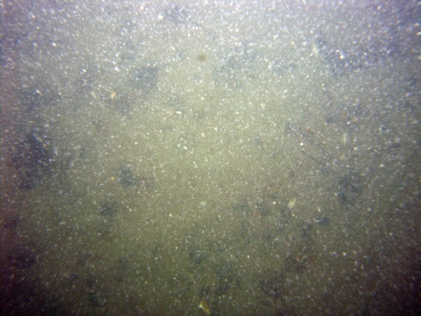 Image of seabed - photo.