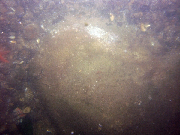 Image of seabed - photo.