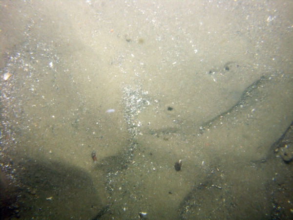 Image of seabed - photo.