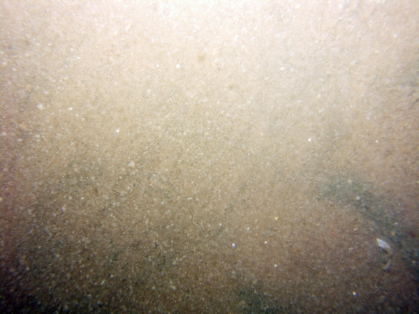 Image of seabed - photo.