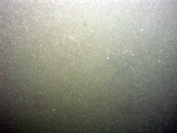 Image of seabed - photo.