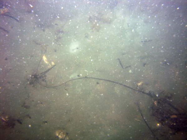 Image of seabed - photo.