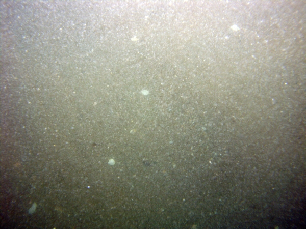 Image of seabed - photo.