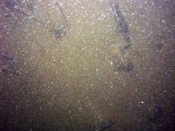 Image of seabed - photo.