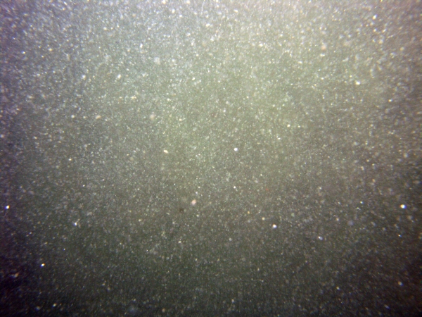 Image of seabed - photo.