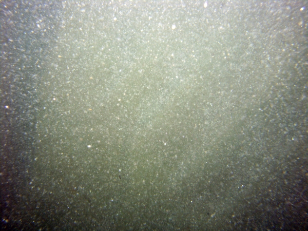 Image of seabed - photo.