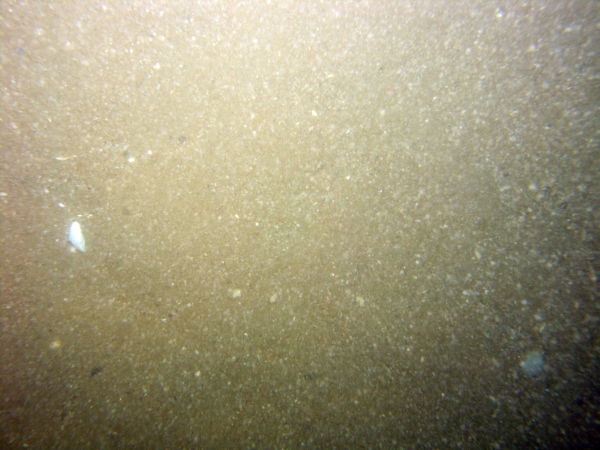 Image of seabed - photo.