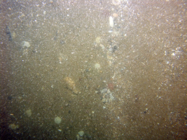 Image of seabed - photo.