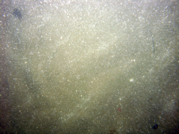 Image of seabed - photo.