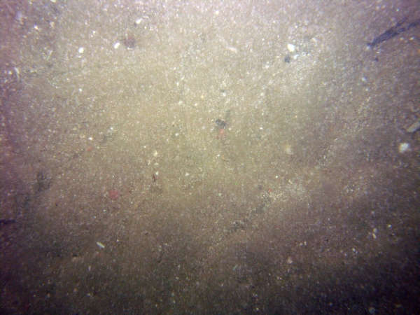 Image of seabed - photo.