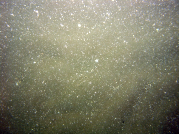 Image of seabed - photo.